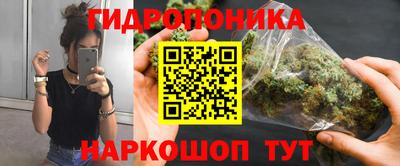 прущие грибы Гусев