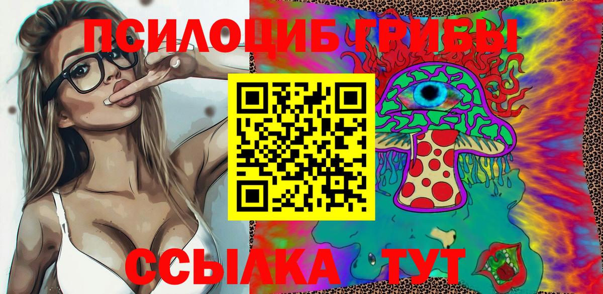 Набережные Челны  Псилоцибиновые грибы Cubensis  Вход с VPN 