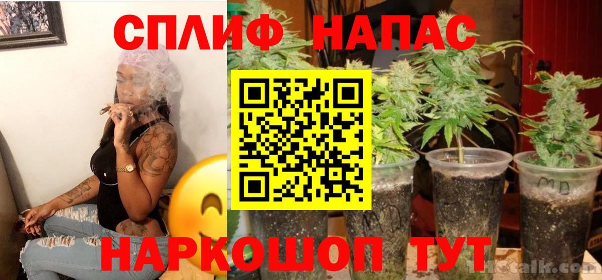 Конопля OG Kush  Каннабис гибрид  Канабис индика  Набережные Челны  Вход с VPN  Марихуана сатива 